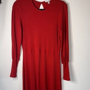 Free Assembly Burnt Orange Chic Long Sleeve Dress Heavy/Warm Fall Lagenlook